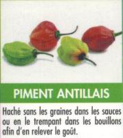 Piment antillais